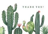 Cactus - Thank You Card